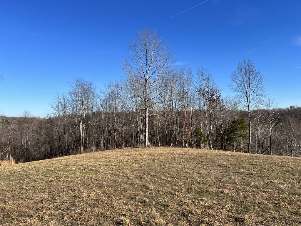 Centerville, TN 37033,0 E Beaverdam Rd