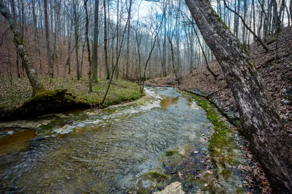 Ashland City, TN 37015,123 Frey St