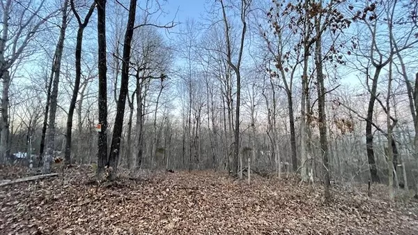 Buchanan, TN 38222,0 East Dogwood Rd