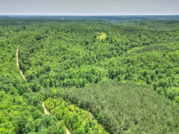 Hampshire, TN 38461,43 Ridgetop Rd