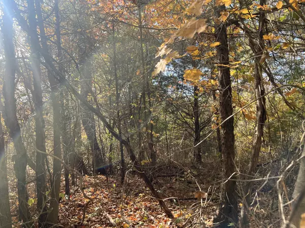 5 Clyde Webb, Tennessee Ridge, TN 37178