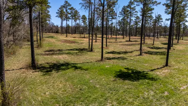 Summertown, TN 38483,0 Hwy 43