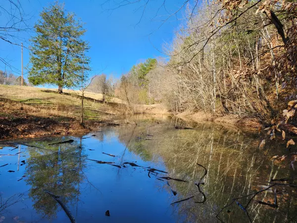 Duck River, TN 38454,131 Lewis Totty Rd