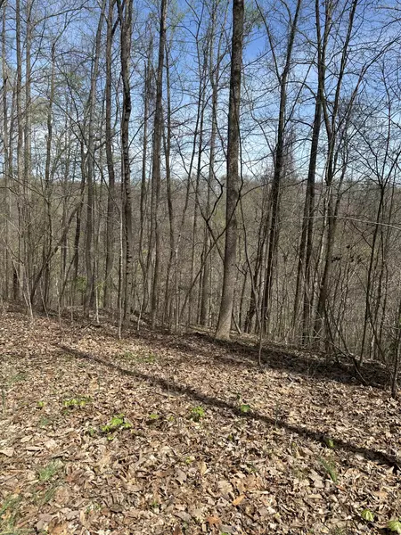 0 Crestwood Dr, Smithville, TN 37166