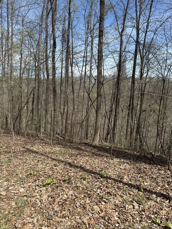 0 Crestwood Dr, Smithville, TN 37166