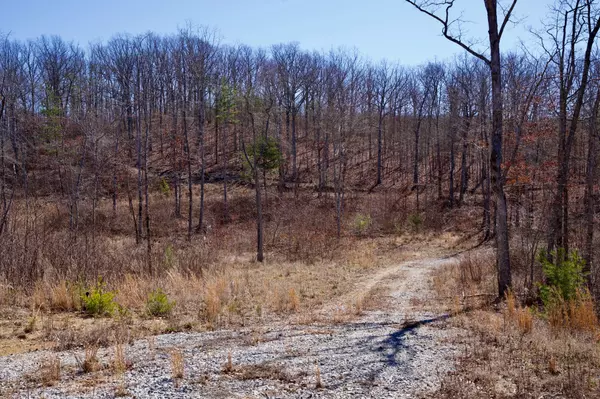 Pikeville, TN 37367,0 Simmons Road