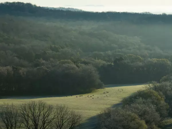 Columbia, TN 38401,0 Carpenter Bridge Rd