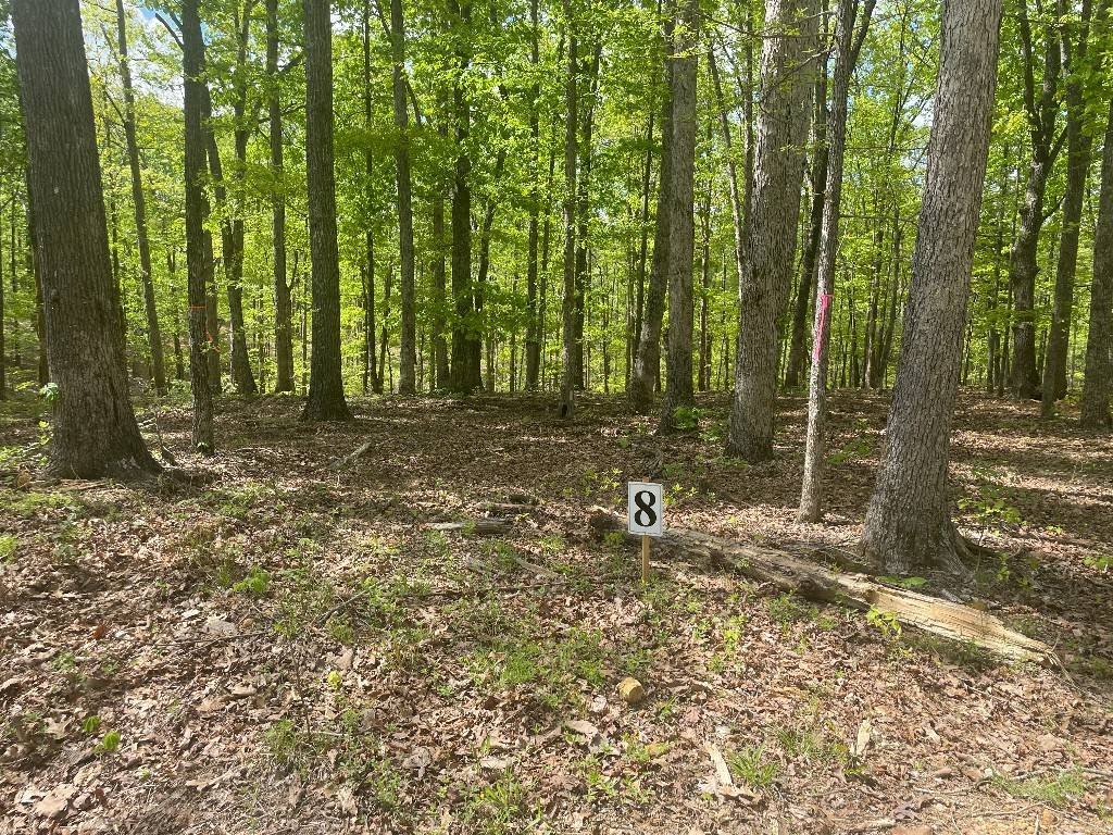 135 Shelton Cemetery Road, Cumberland Furnace, TN 37051