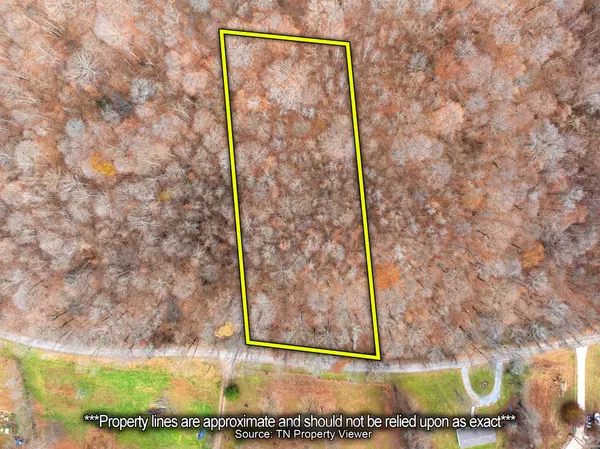 Indian Mound, TN 37079,0 Lee Hollow Rd