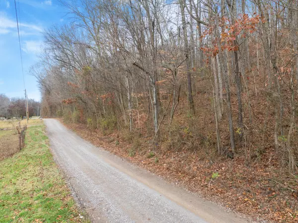 Indian Mound, TN 37079,0 Lee Hollow Rd