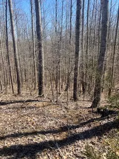 Linden, TN 37096,1477 Hawthorn Drive