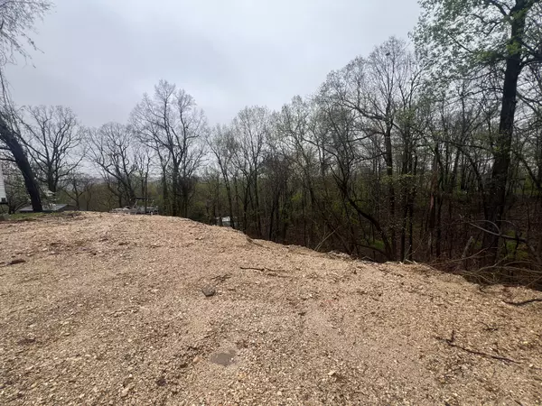 116 Sunset Dr, Grand Rivers, KY 42045
