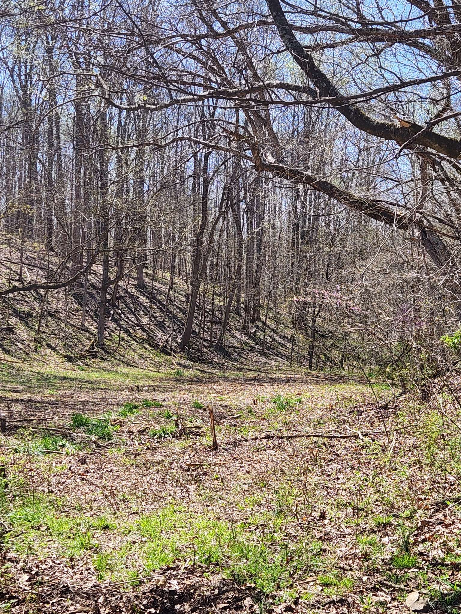 0 Lowery Cemetery Rd, Stewart, TN 37175