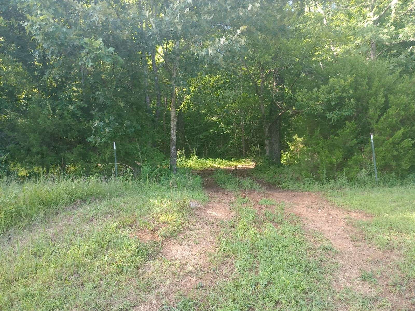 Savannah, TN 38372,490 Early Bird Ln