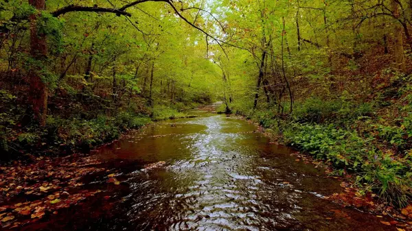 Summertown, TN 38483,0 Tiger Bennett Rd