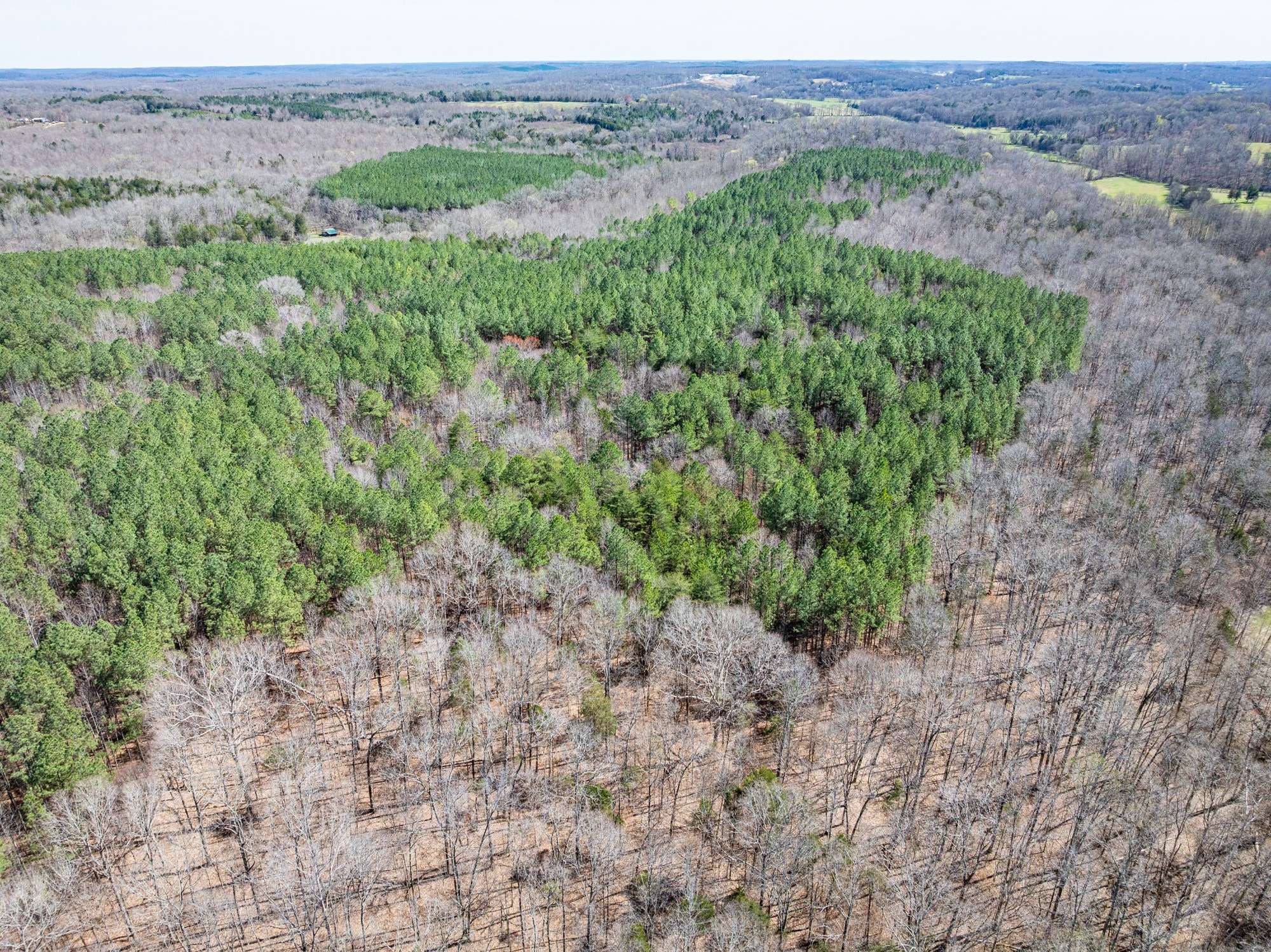 Parsons, TN 38363,395 Gooch Rd