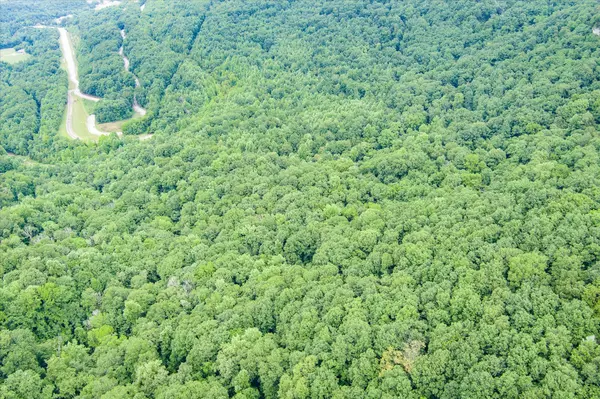 0 SR 30, Pikeville, TN 37367