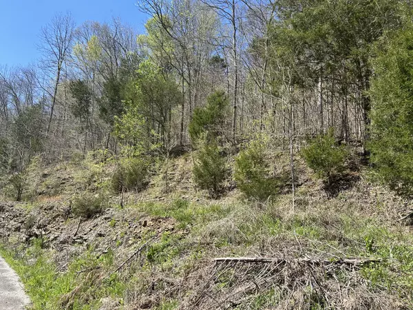 Lynchburg, TN 37352,1155 Hurricane Creek Rd