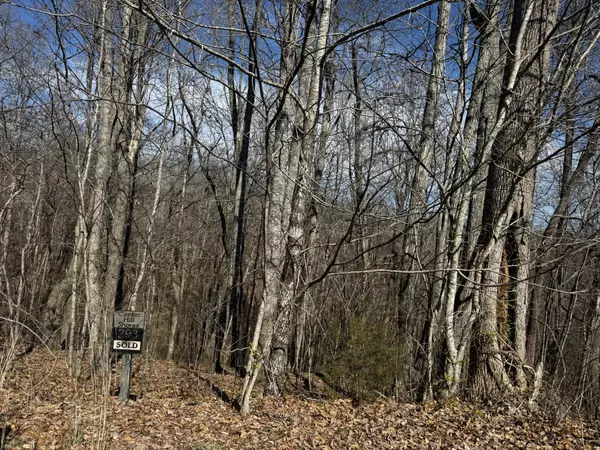 Smithville, TN 37166,0 Dakota Ln