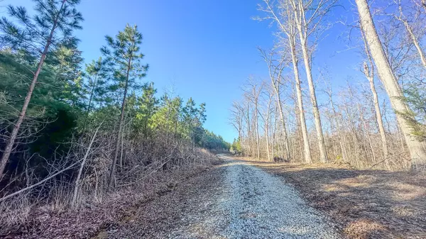 Parsons, TN 38363,0 Jeanette Holladay Rd