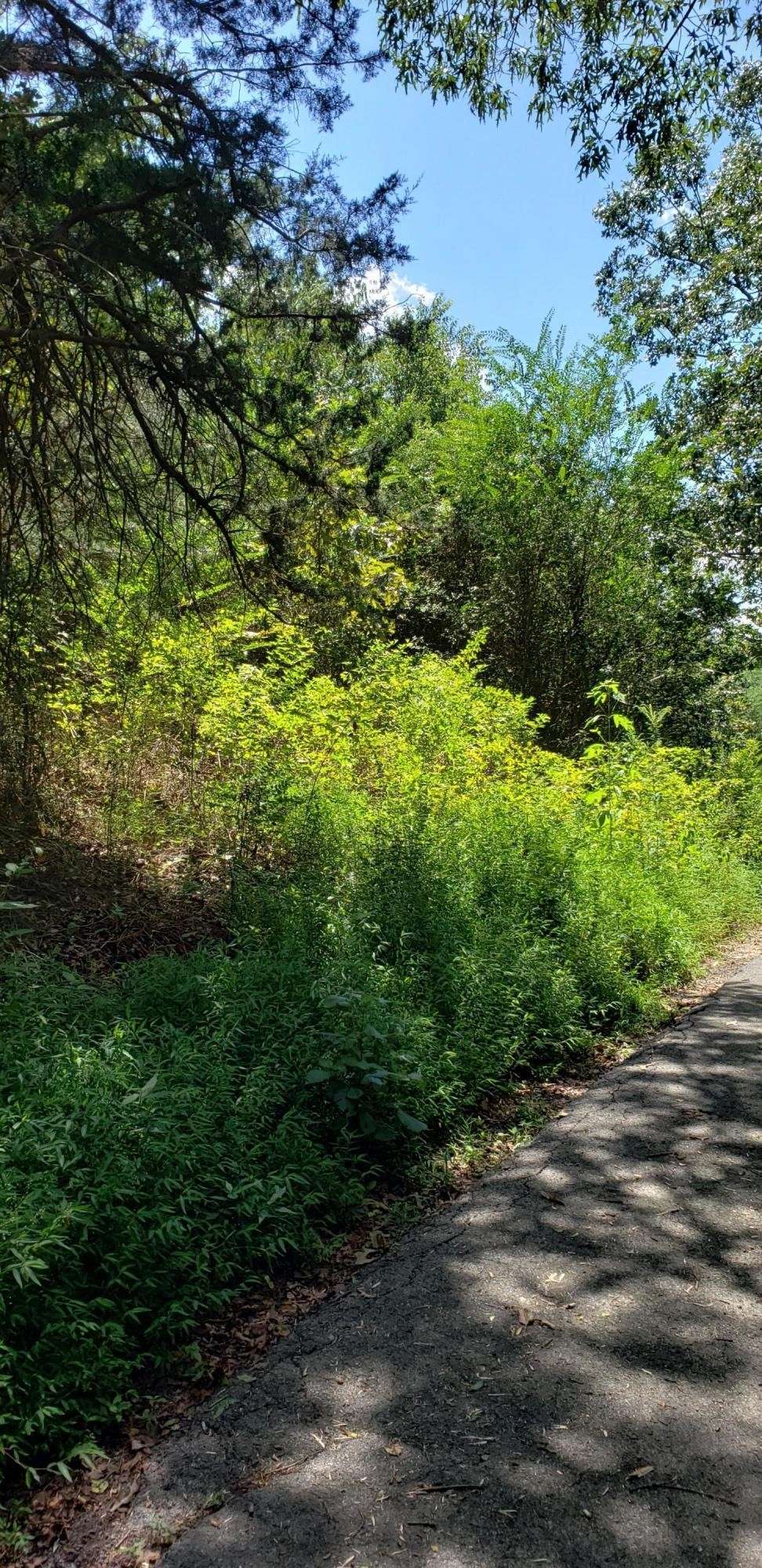 Dunlap, TN 37327,0 Treeline Drive