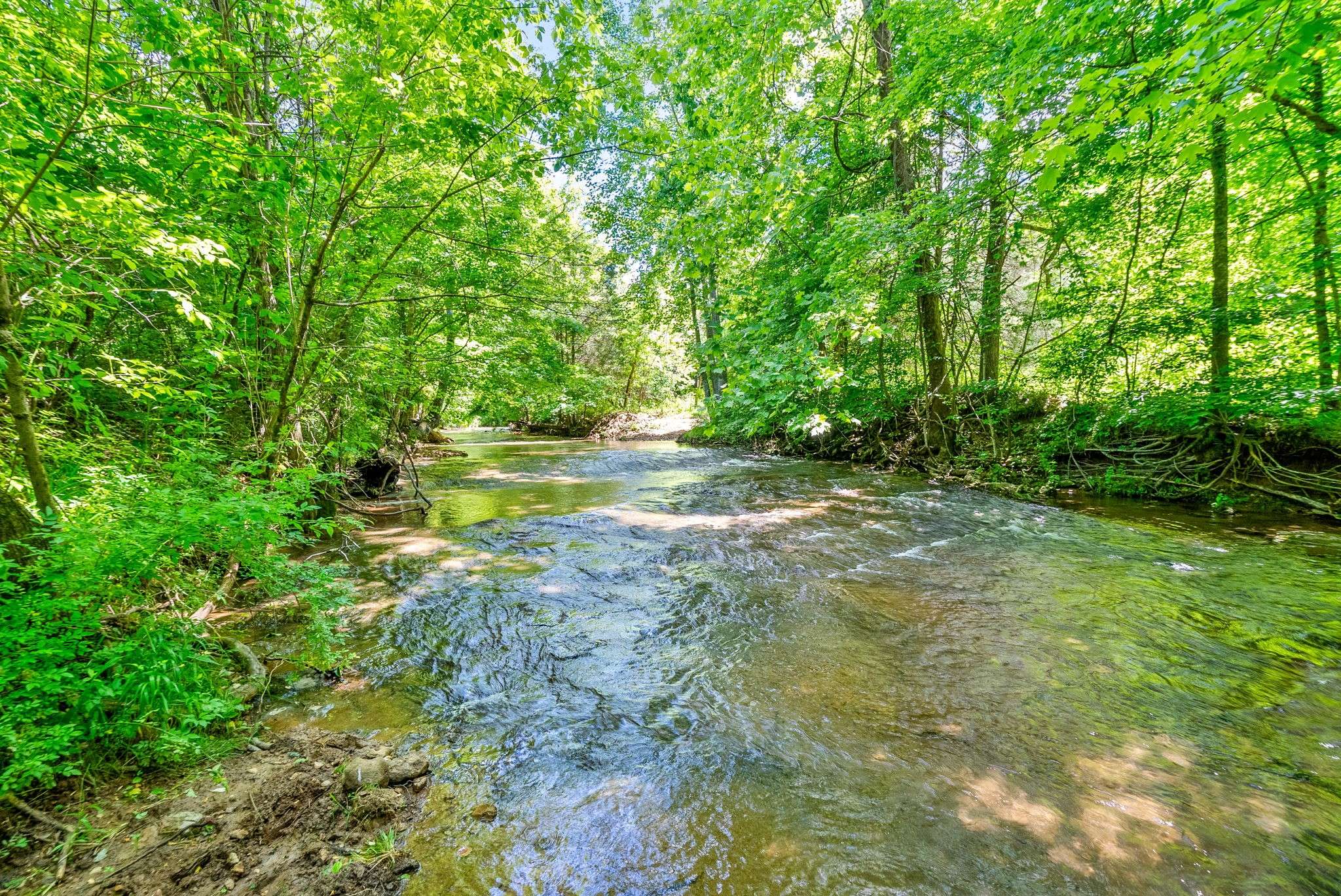 3712 Budds Creek Rd, Palmyra, TN 37142