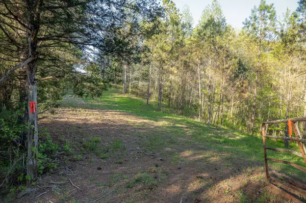 Smithville, TN 37166,0 Old Pin Hook Rd