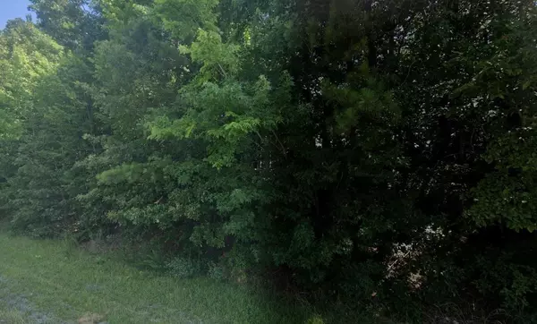 Dickson, TN 37055,0 First Street #W