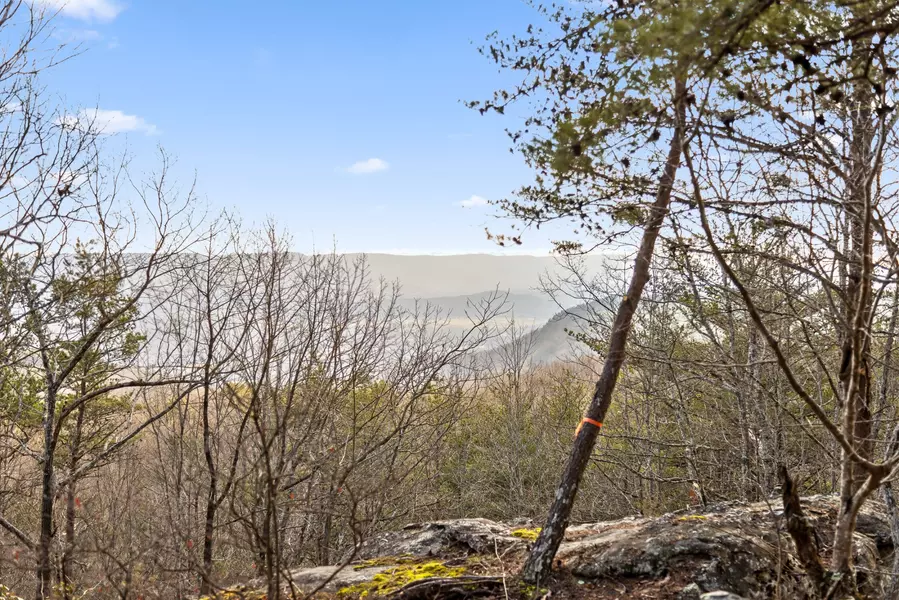 0 Brockdell Road, Pikeville, TN 37367