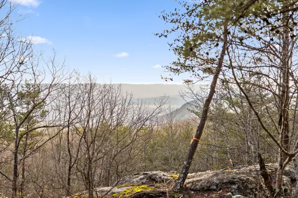 Pikeville, TN 37367,0 Brockdell Road