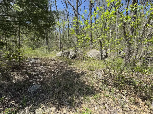 Watertown, TN 37184,0 Rock Springs Rd