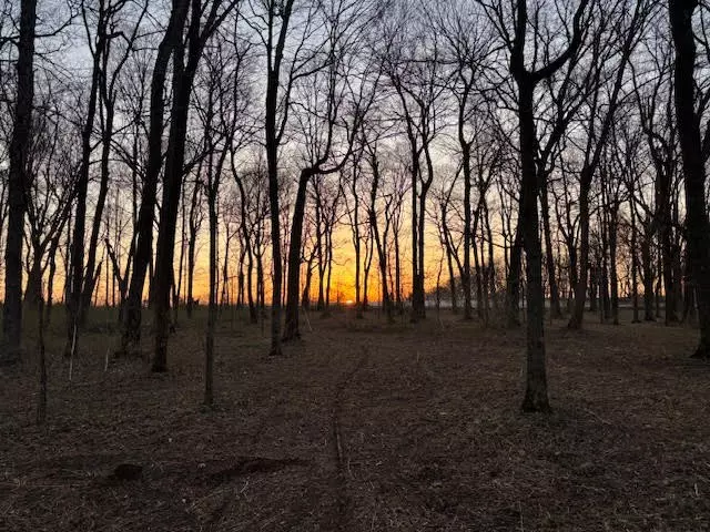 Castalian Springs, TN 37031,533 Greenfield Ln