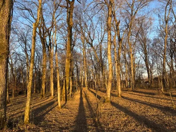 Castalian Springs, TN 37031,533 Greenfield Ln