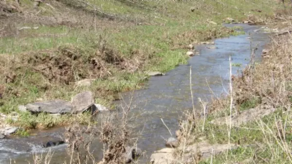 Gainesboro, TN 38562,78 ac Baugh Hollow Rd