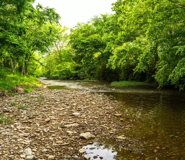 Franklin, TN 37064,5285 Old Harding Road