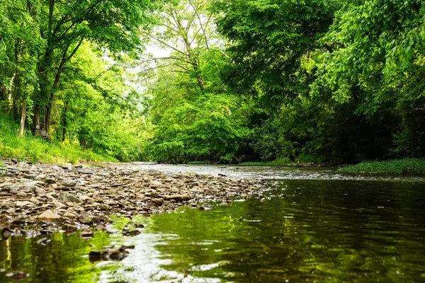 Franklin, TN 37064,5285 Old Harding Road