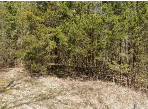 91 Cooks Rd, Mount Juliet, TN 37122