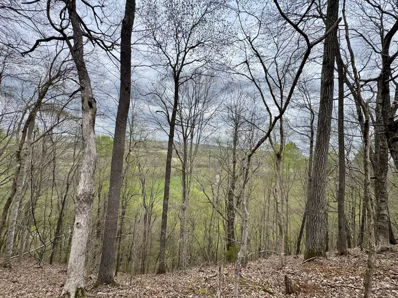 0 Mason Bates Bend Road, Centerville, TN 37033