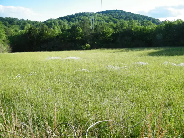 4 Sleepy Hollow Road, Hartsville, TN 37074