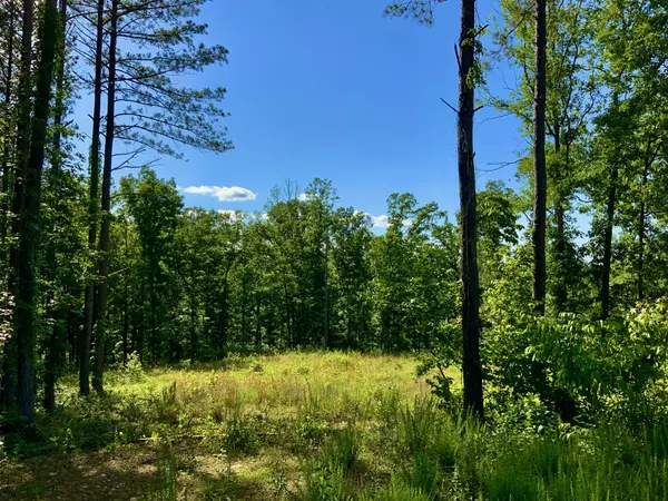 Waverly, TN 37185,2340 Bear Hollow Drive