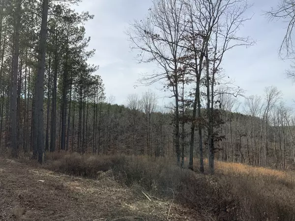 Waverly, TN 37185,2340 Bear Hollow Drive