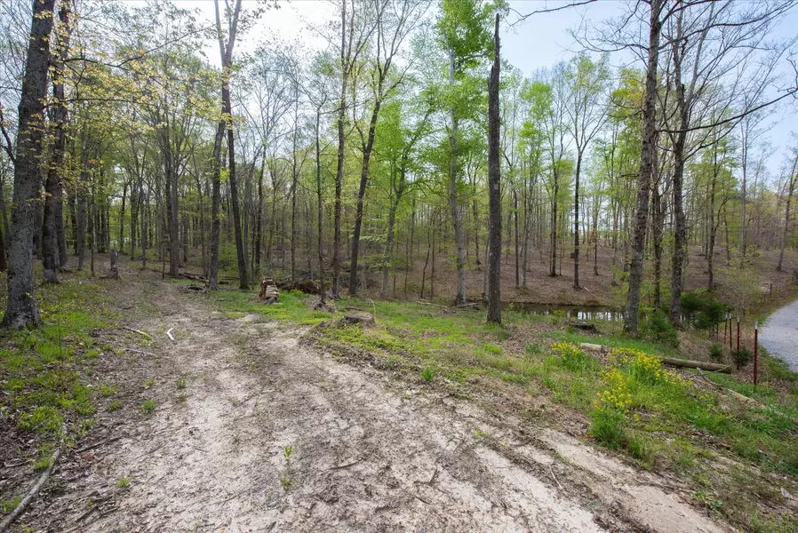 0 Norris Hollow Road, Vanleer, TN 37181