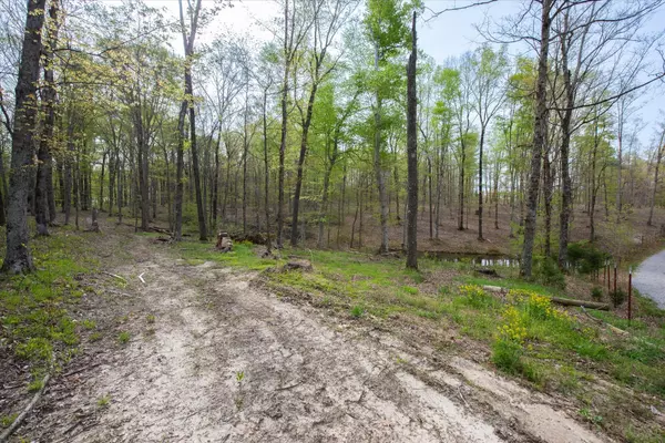 0 Norris Hollow Road, Vanleer, TN 37181