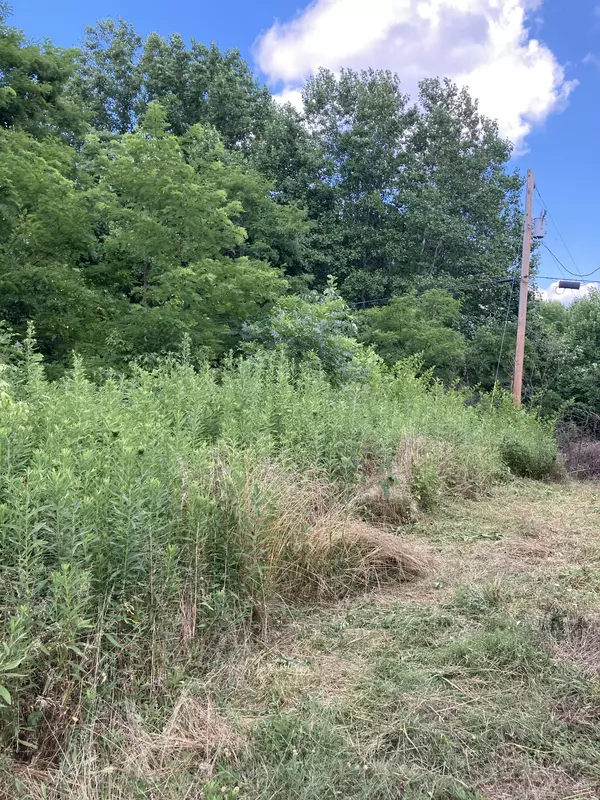 Whitleyville, TN 38588,2207 Riley Creek Rd