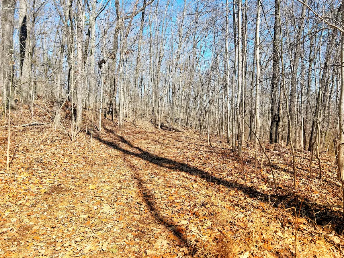 Guild, TN 37340,0 Browbend Drive