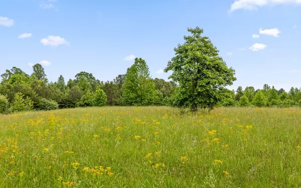 Soddy Daisy, TN 37379,10600 Skyridge Trail