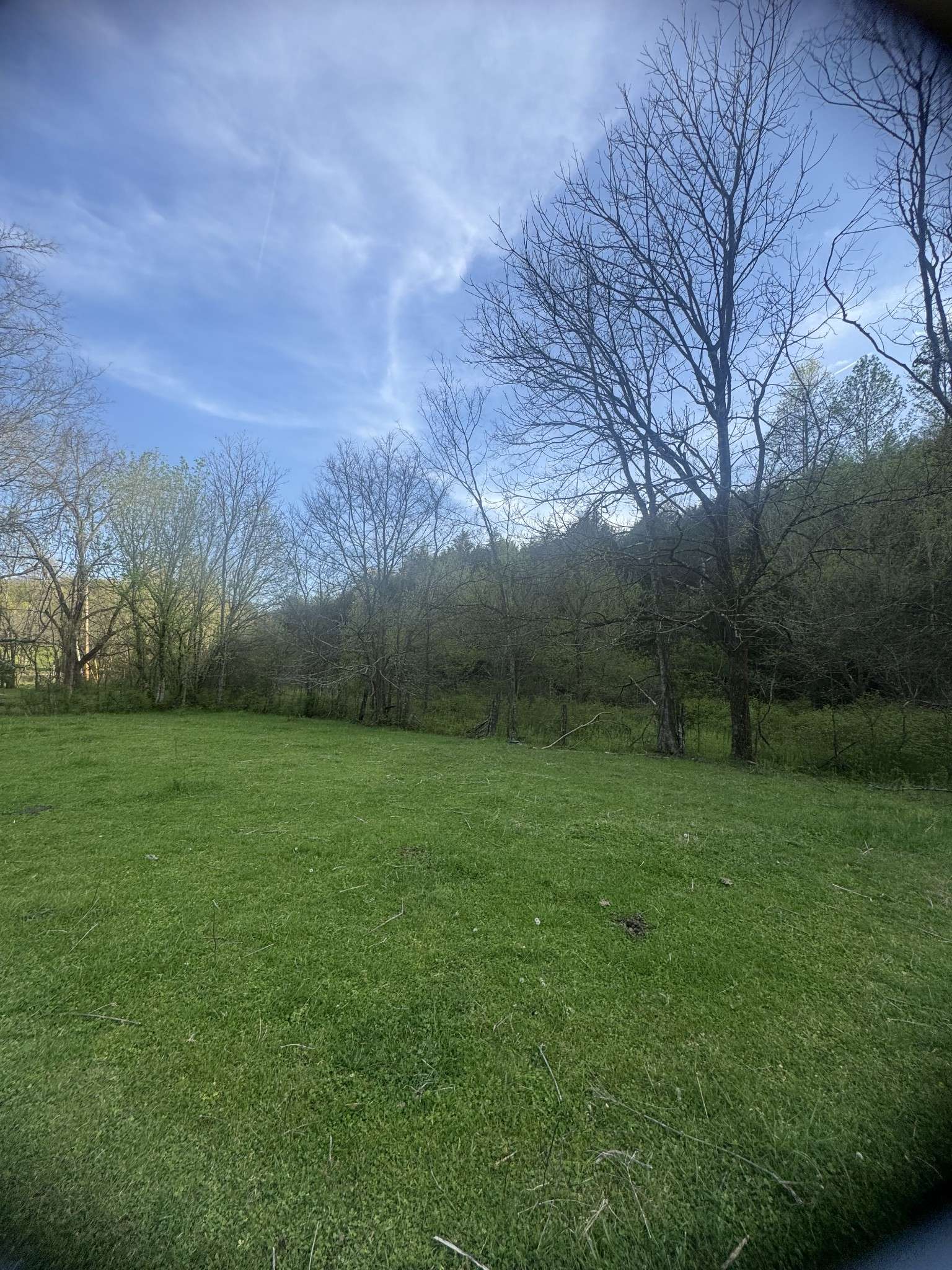 419 Tillman Hollow Rd, Wartrace, TN 37183