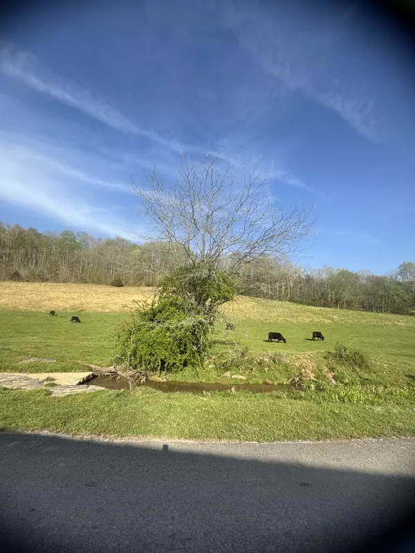 Wartrace, TN 37183,0 Tillman Hollow Road