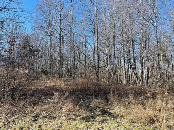 Woodlawn, TN 37191,0 Chandler Rd