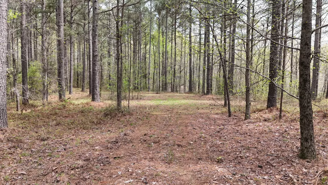0 Richland Harbor Rd, Waverly, TN 37185